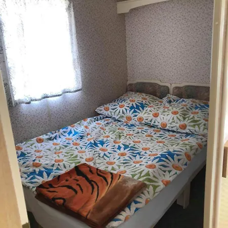 Holenderki Wiki Chlapowo