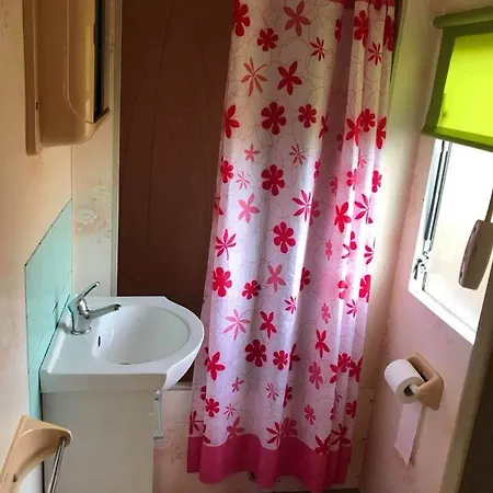 Holenderki Wiki Chlapowo Władysławowo