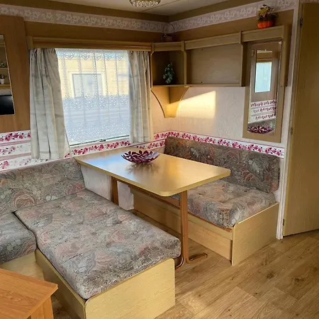 Holenderki Wiki Chlapowo * Władysławowo