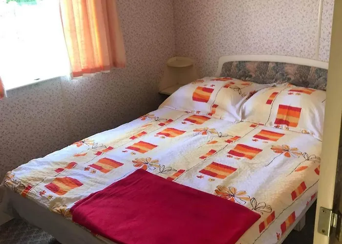 Holenderki Wiki Chlapowo 山林小屋 Władysławowo