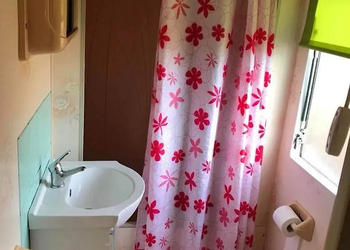 Holenderki Wiki Chlapowo Władysławowo