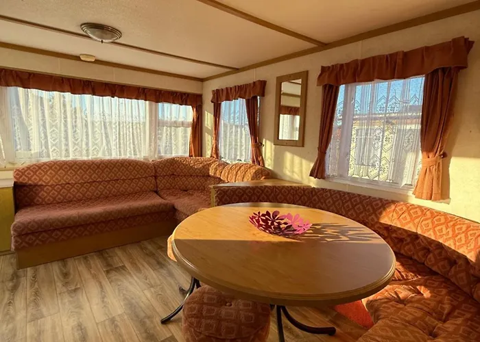 Holenderki Wiki Chlapowo Władysławowo