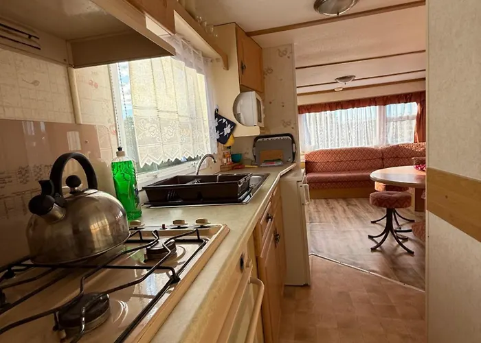 Holenderki Wiki Chlapowo 山林小屋 Władysławowo