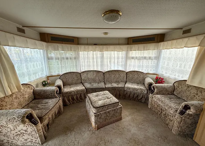 Holenderki Wiki Chlapowo * Władysławowo