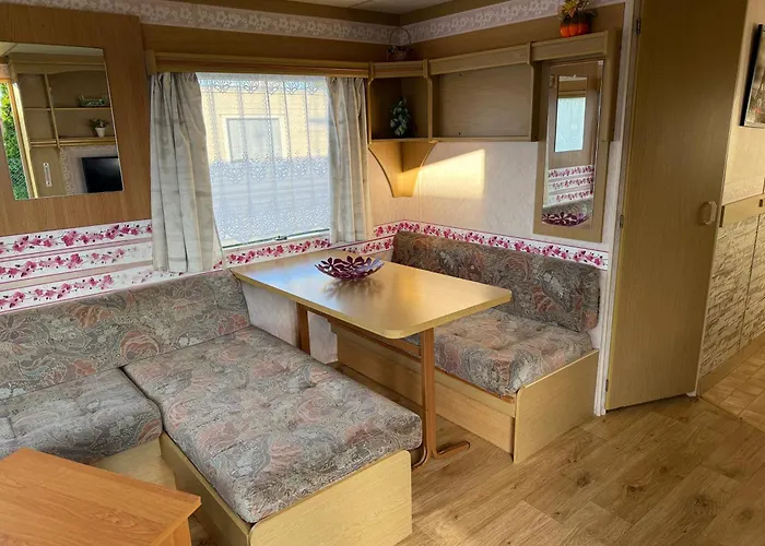 Holenderki Wiki Chlapowo * Władysławowo