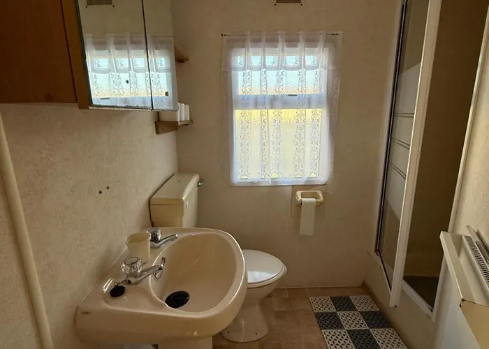 Holenderki Wiki Chlapowo *